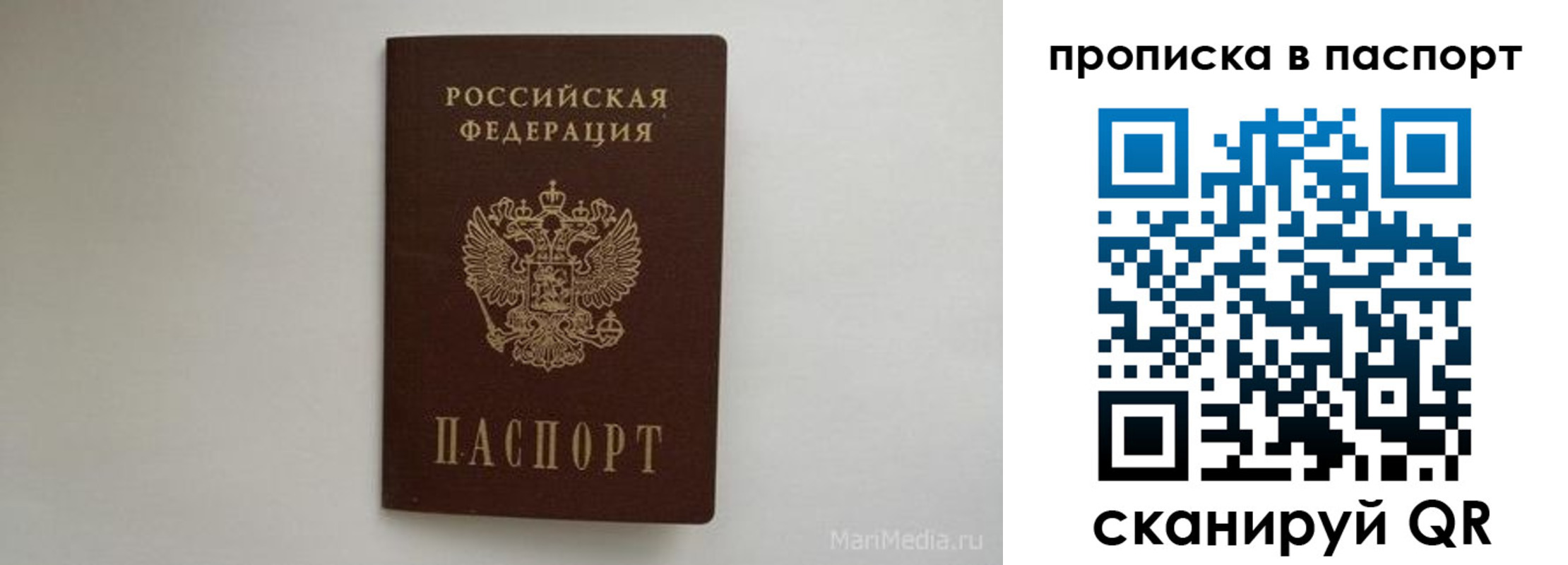 регистрация для школы в Куртамыше